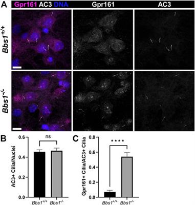 Frontiers in Cell and Developmental Biology Signaling